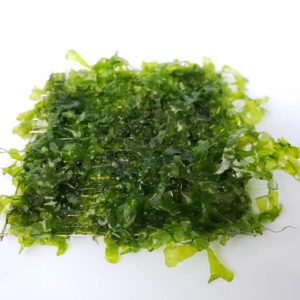 Subwassertang -SS Pad